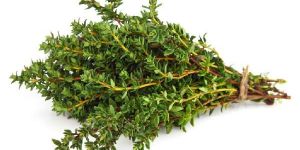 Thyme Leaves