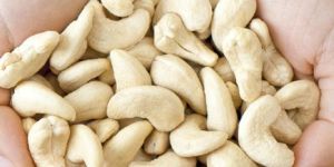 Cashew Nuts
