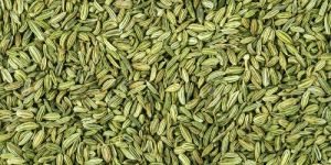 Fennel Seeds