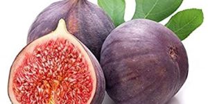 Fresh Fig