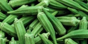 Fresh Okra