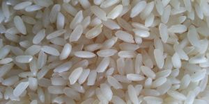 Swarna Rice