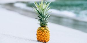 Fresh Pineapple