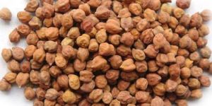Black Chickpeas