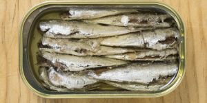Canned Sardine Fish