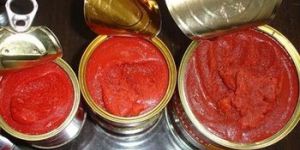 Canned Tomato Paste