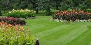 Terrace Garden Landscaping Services