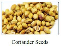 Coriander Seeds
