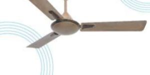 Viva Vita Decor Ceiling Fans