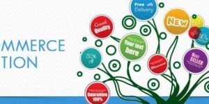 e-commerce Development Services