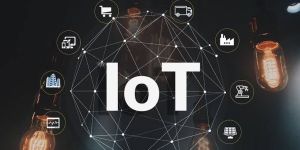 Iot Development Service