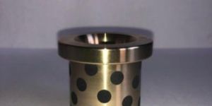 Graphite Bushing