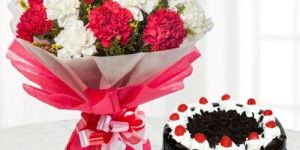 Magical Expression Combo Gift