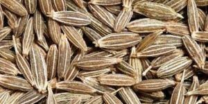 Cumin