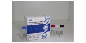 BGI-Real-time fluorescent RT-PCR kit for detecting 2019-nCoV