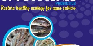Uni Ecosense Probiotics