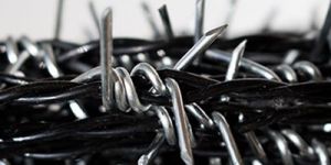 Garvilon Barbed Wire