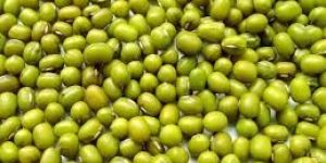 Mung Bean