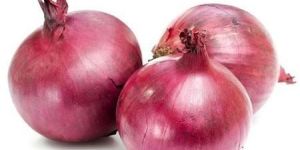 Fresh Red Onion