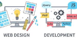 Website Development Services