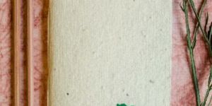 21 Fools Plantable Seed Paper Diary