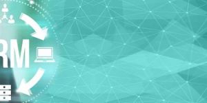 Customer Relationship Management Services