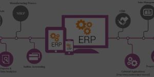 Enterprises Pricing Solution