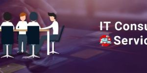 IT CONSULTANCY SERVICES