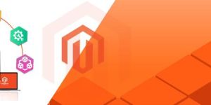 Wordpress Development Services