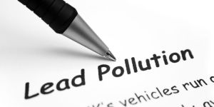 Digital Marketing Solution Services