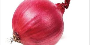 Onion