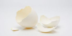 Egg Shell Calcium