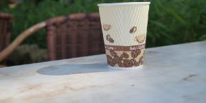 Indobev Pe Coated Boards