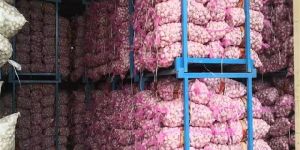 Fresh Natural Garlic