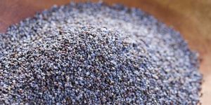 Dry Milk Powder