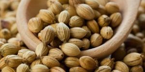 Coriander Seeds