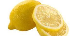 Fresh Lemon