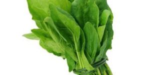 Spinach Leaves