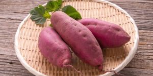 Sweet Potato