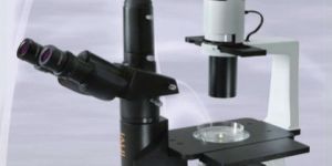 Inverted Microscope