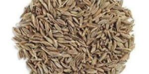 Cumin