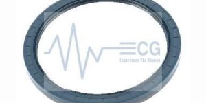 Oil Seals