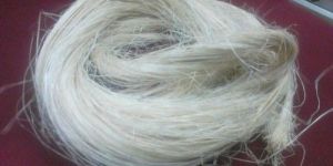 White Banana Fiber