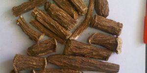 Chicory Root