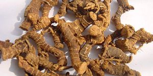 Dried Galangal