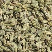 Fennel Seeds