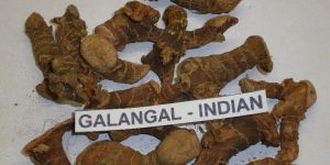 Galangal