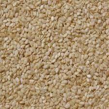Sesame Seeds