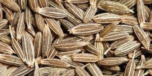 Cumin Seeds