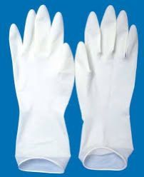 Surgical Gloves